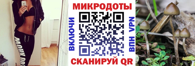 Псилоцибиновые грибы мухоморы  Медынь 